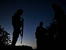 В Германии призвали к мирному решению конфликта на Украине