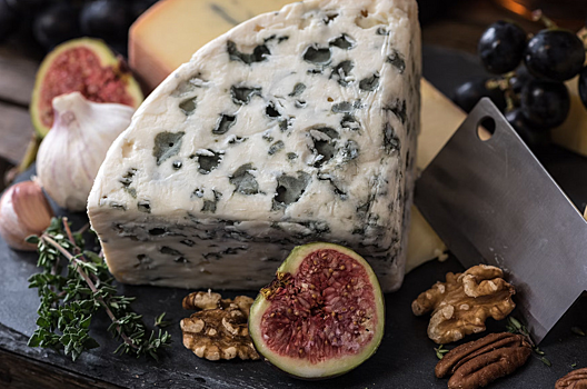 Эксперт рассказала можно ли отравиться от сыра с плененью