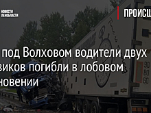 Фото: под Волховом водители двух грузовиков погибли в лобовом столкновении