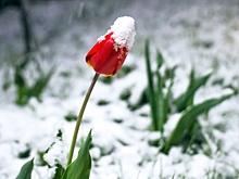 14 октября: какие приметы подмечали наши предки на Покров день