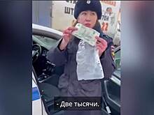 В Оренбурге за попытку дать взятку полицейскому задержали нарушителя ПДД