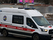 В России выявлены новые случаи лихорадки Денге