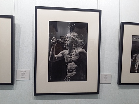 Саратовцев приглашают увидеть Игги Попа и Пола Маккартни