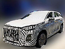 Замечен новый кроссовер марки Hongqi, которую ждут в России