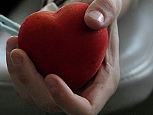 «Единая Россия» присоединилась к акциям в честь Всемирного дня донора