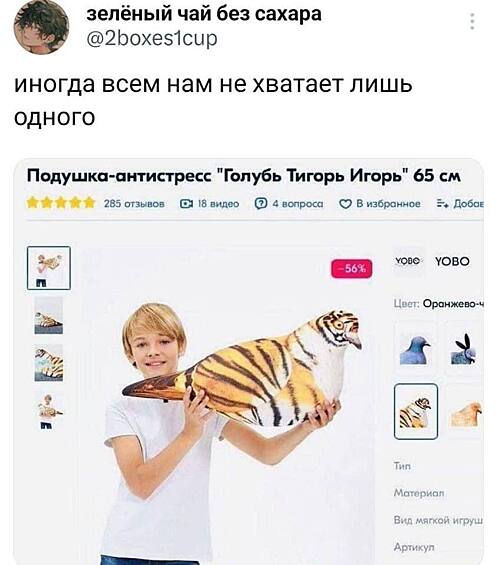 Уровень стресса после таких холодов сможет перекрыть лишь голубь тигр Игорь.
