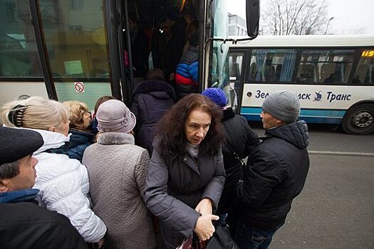 В Калининграде автобусы старше десяти лет не будут использовать для междугородных перевозок