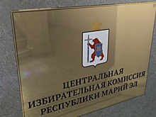 Избирком выявил неполные сведения о доходах кандидатов на пост главы Марий Эл