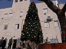 Трех человек арестовали по подозрению в поджоге рождественской ёлки в католической церкви