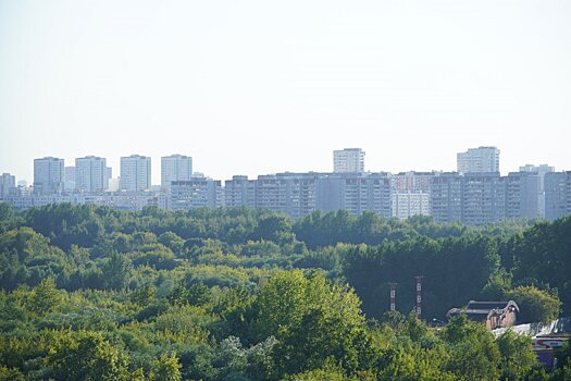 В Минэкологии Подмосковья рассказали о влиянии пожаров в Рязани на чистоту воздуха в регионе