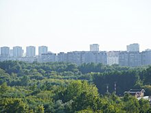 В Минэкологии Подмосковья рассказали о влиянии пожаров в Рязани на чистоту воздуха в регионе