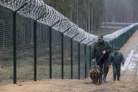 В Латвии предложили разрешить пограничникам стрелять по нелегальным мигрантам