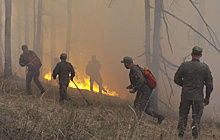 Военные распашут полосу вдоль реки Шан для защиты поселков в Туве от лесных пожаров
