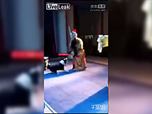 В Китае собака напала на актера во время оперного спектакля