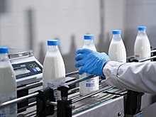 В кабмине поддержали законопроект об ускорении оплаты скоропортящихся продуктов