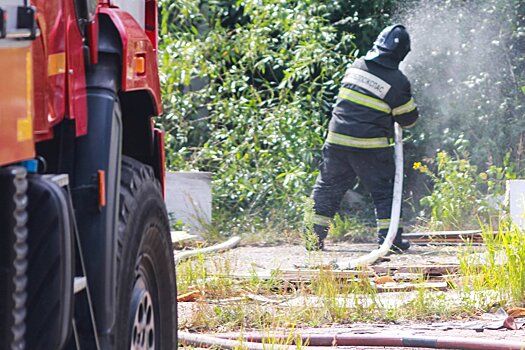 Почти 20 единиц спецтехники для тушения пожаров закупили на нужды подмосковного комитета лесного хозяйства