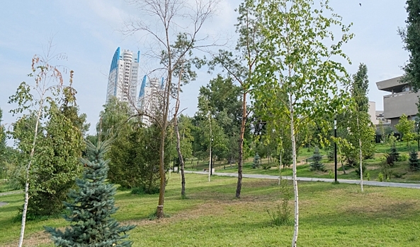 Волгоградский климатолог Судаков рассказал о погоде этим летом