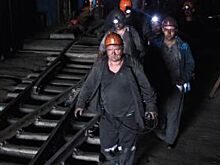 Власти Дона опровергли информацию о голодовке шахтеров «Кингкоула»