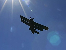 Самолет Ан-2 совершил жесткую посадку в Архангельской области