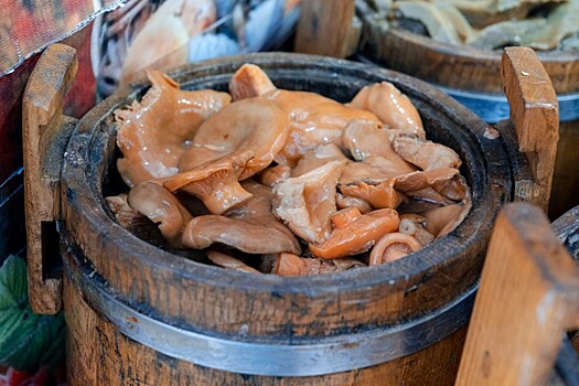 На 14% выросло в 2025 году производство грибов на Кубани