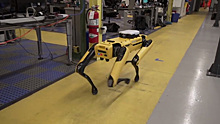 Инженеры создали четвероногого робота-охранника с видеокамерами