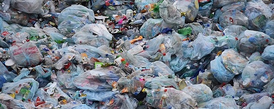 Пластиковые пакеты с 2020 года под запретом в Мехико