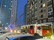 После пожара в Кузьминках проверят системы оповещения с включением сирен