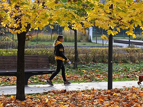 Климатолог Терешонок: к концу века осень в Москве потеплеет на 7 градусов
