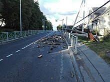 На трассе Калининград — Мамоново дерево рухнуло на проезжую часть