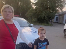В Ленинградской области сотрудники Госавтоинспекции оперативно доставили в больницу малыша, которого укусила оса