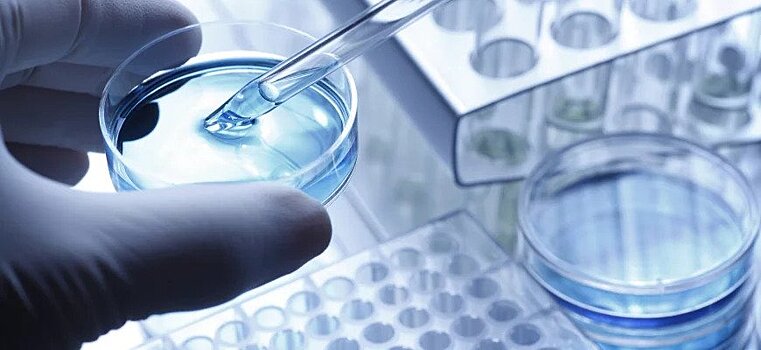 В каких ситуациях проводится независимая медицинская экспертиза?