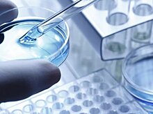 В каких ситуациях проводится независимая медицинская экспертиза?