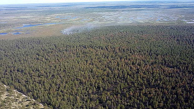 В Ноябрьске пока дождливо, но пожарные «держат руку на пульсе»