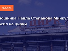 Киношника Павла Степанова Минкульт бросил на цирки