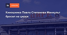 Киношника Павла Степанова Минкульт бросил на цирки