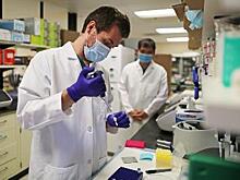 Российские учёные создали прототип нового лекарства от коронавируса