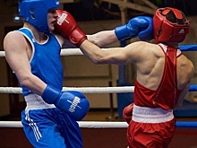Боксеры Самарской области заняли на турнире в Тольятти шесть призовых мест