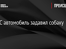 На АЗС автомобиль задавил собаку