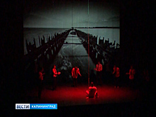 В БФУ имени Канта прошёл юбилейный показ спектакля «Чайка по имени Джонатан Ливингстон»