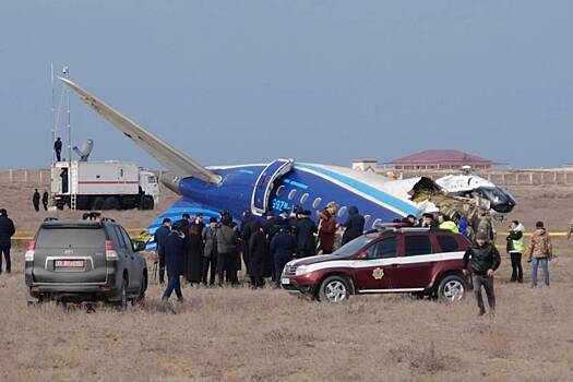 Отчет описал версию о столкновении с птицами разбившегося под Актау самолета