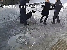 Подравшиеся с полицейским хозяева собаки в Новосибирске обвинили МВД в сокрытии видеоматериалов по делу