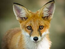 На учебно-тренировочной площадке Департамента ГОЧСиПБ прошли XVII Всероссийские соревнования «Школа безопасности»