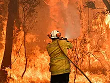 Почему Австралия не могла не загореться