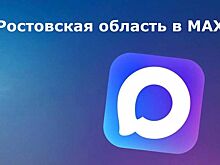 На Дону официально подтвердили 11,5 тыс. домовых чатов в мессенджере МАХ