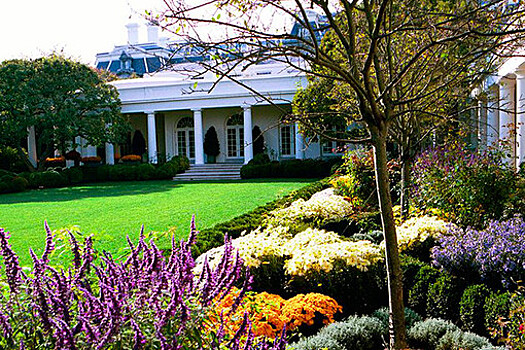 Первая леди США отреставрировала Розовый сад Белого дома