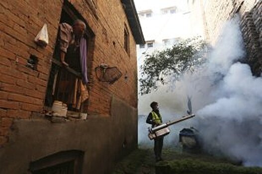 В Доминикане 12 тысяч человек могут быть заражены лихорадкой денге