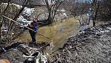 Спасатели и экологи Вологды обследуют русла малых рек в преддверии паводка