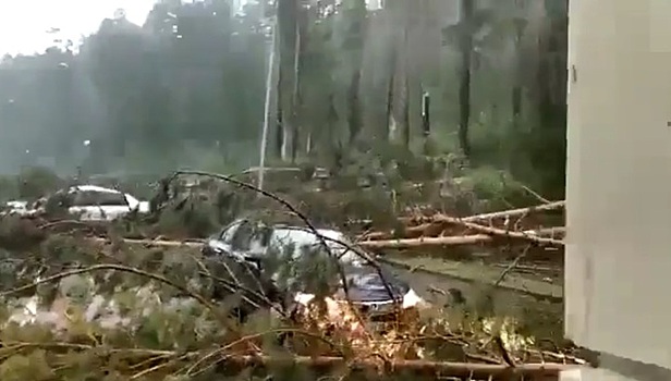 Разрушительный ураган в Алтайском крае сняли на видео