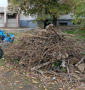 Глава Воткинска: не я превратил город в свалку, мы все вместе превратили город в свалку