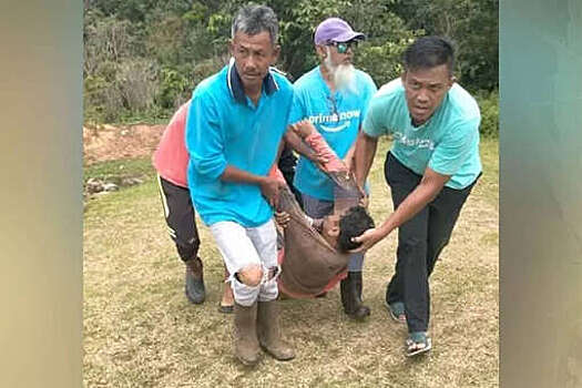 WOB: малайзиец пытался отогнать слона от школы и был затоптан